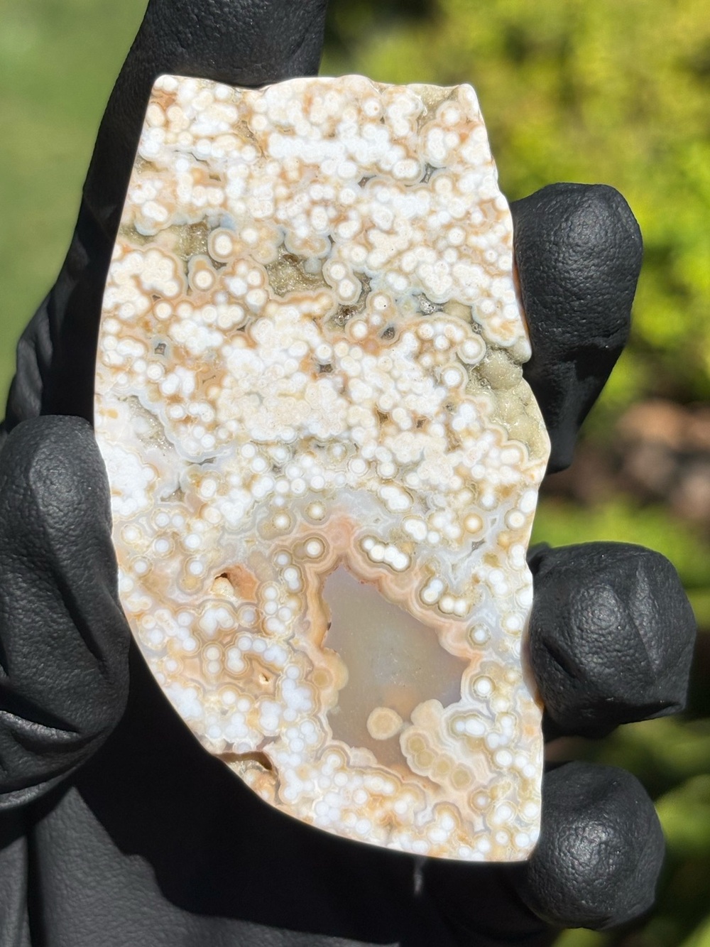 Ocean Jasper Crystal Slab - Polished Sea Jasper - Orbicular Jasper